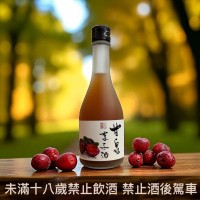 甘泉李子酒11度300cc #0001
